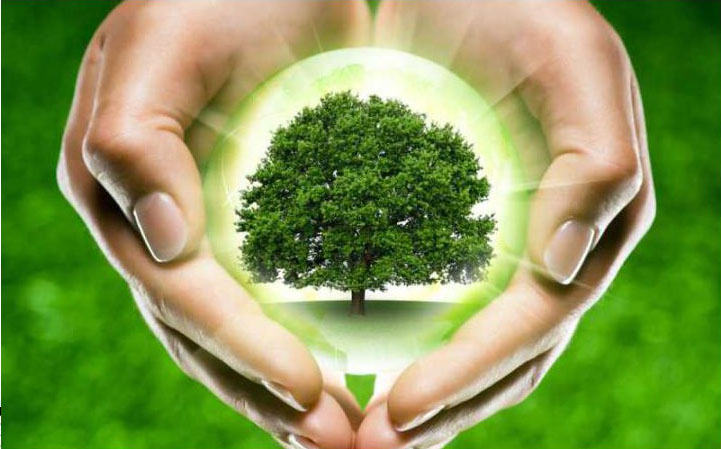 Акция «Спаси жизнь дереву!»